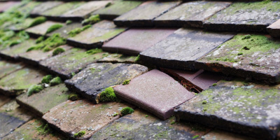 Montgomery roof repair costs